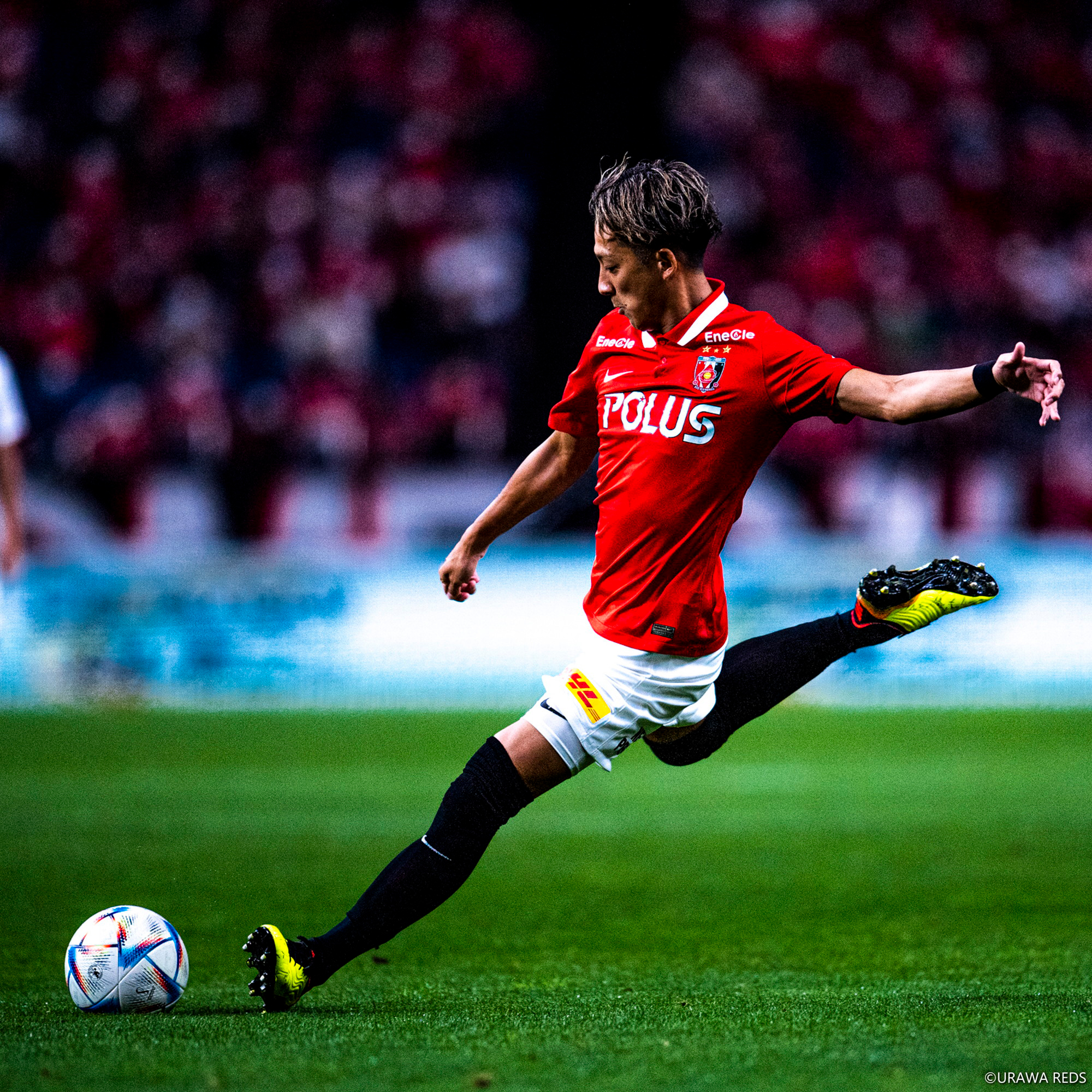 Player Photo ImageC